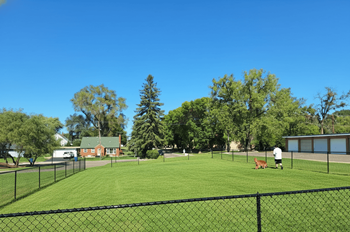 Dog park